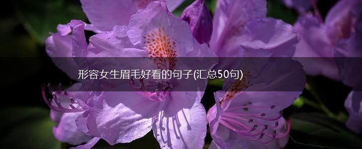 形容女生眉毛好看的句子(汇总50句),第1张