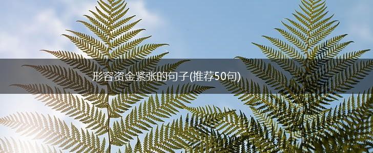 形容资金紧张的句子(推荐50句),第1张