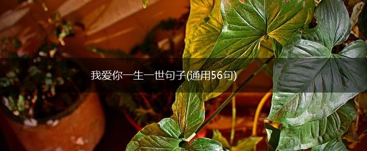 我爱你一生一世句子(通用56句),第1张