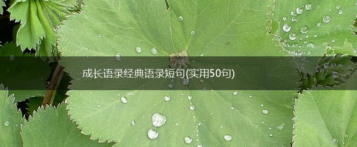 成长语录经典语录短句(实用50句),第1张