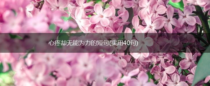 心疼却无能为力的短句(实用40句),第1张 心疼却无能为力的短句(实用40句),第1张