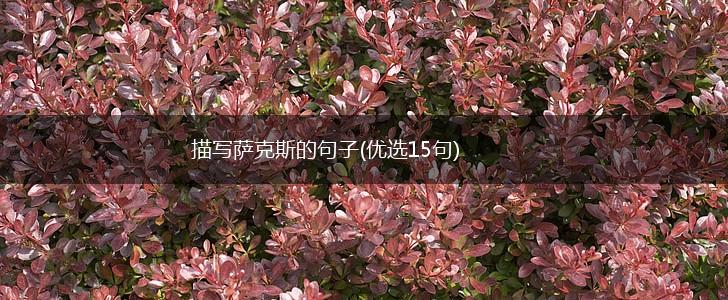 描写萨克斯的句子(优选15句),第1张