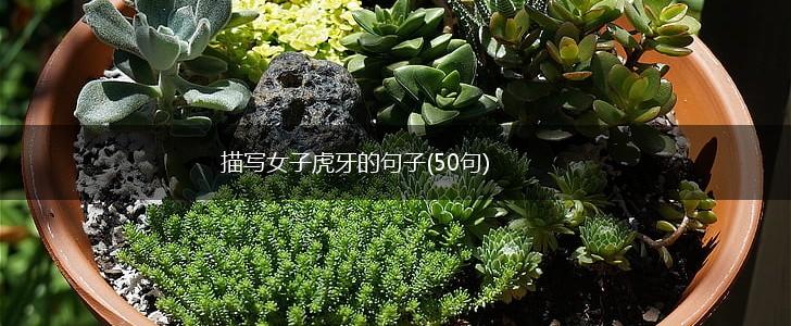 描写女子虎牙的句子(50句),第1张 描写女子虎牙的句子(50句),第1张