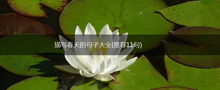 描写春天的句子大全(推荐11句),第1张 描写春天的句子大全(推荐11句),第1张