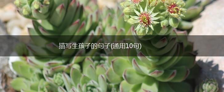 描写生孩子的句子(通用10句),第1张