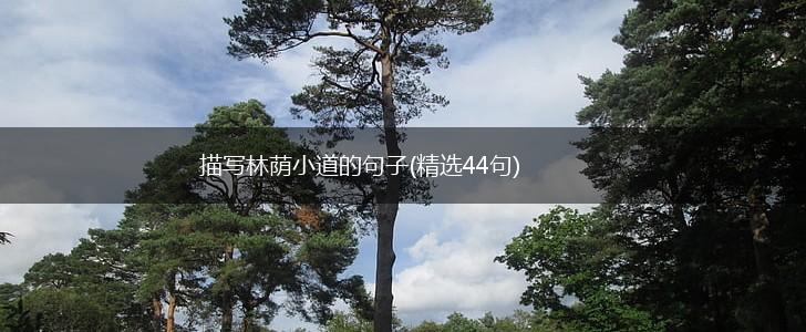描写林荫小道的句子(精选44句),第1张