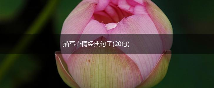 描写心情经典句子(20句),第1张