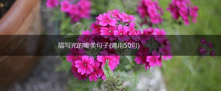 描写光的唯美句子(通用50句),第1张