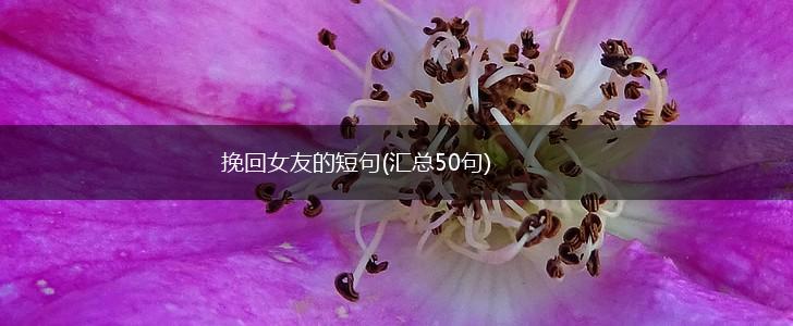 挽回女友的短句(汇总50句),第1张