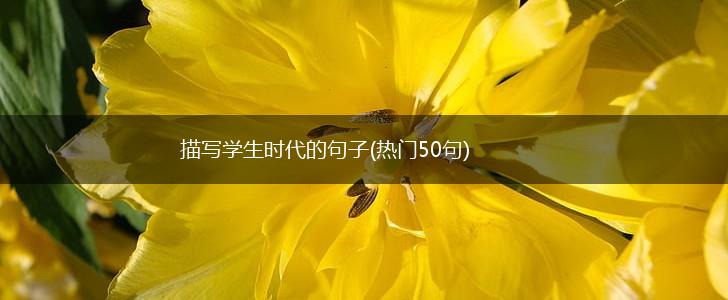 描写学生时代的句子(热门50句),第1张