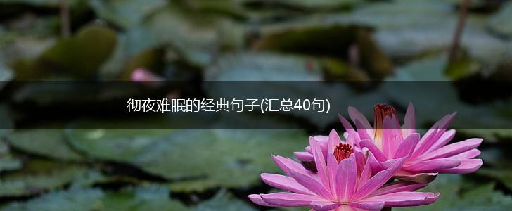 彻夜难眠的经典句子(汇总40句),第1张