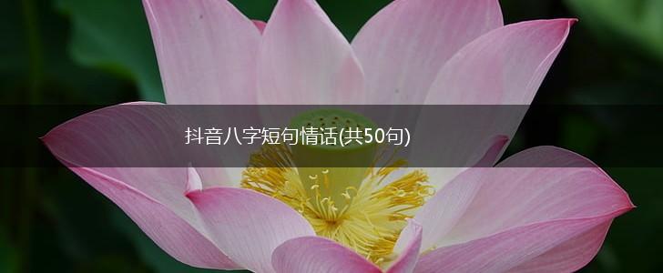 抖音八字短句情话(共50句),第1张