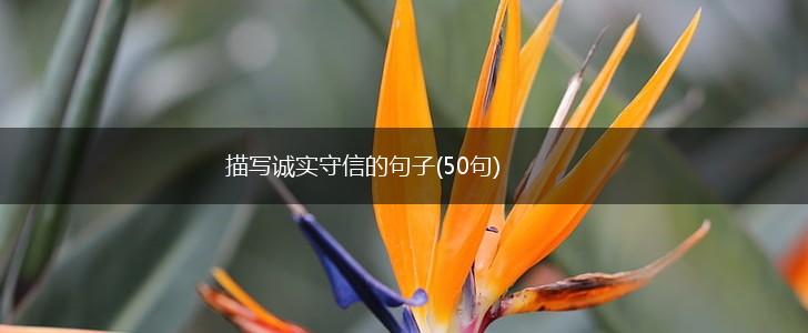 描写诚实守信的句子(50句),第1张 描写诚实守信的句子(50句),第1张