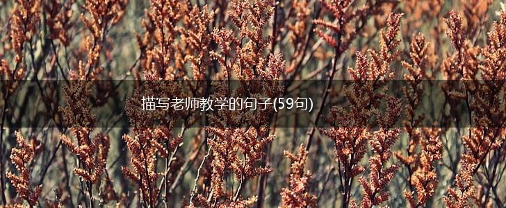 描写老师教学的句子(59句),第1张
