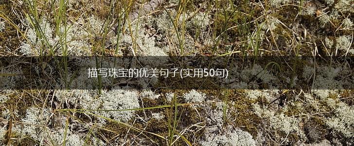 描写珠宝的优美句子(实用50句),第1张