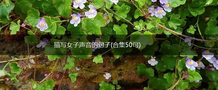 描写女子声音的句子(合集50句),第1张