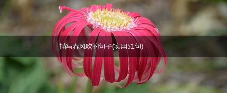 描写春风吹的句子(实用51句),第1张