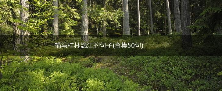 描写桂林漓江的句子(合集50句),第1张