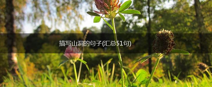 描写山洞的句子(汇总51句),第1张