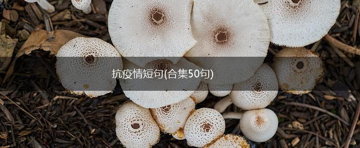 抗疫情短句(合集50句),第1张