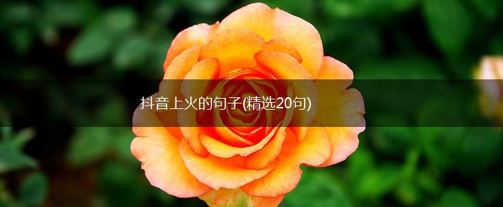 抖音上火的句子(精选20句),第1张