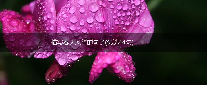 描写春天风筝的句子(优选44句),第1张