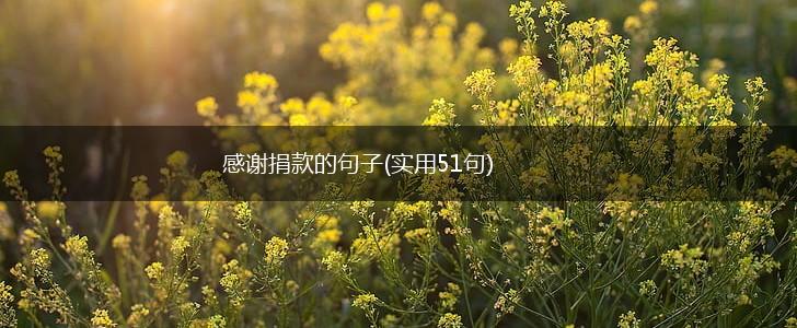 感谢捐款的句子(实用51句),第1张