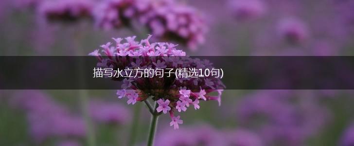 描写水立方的句子(精选10句),第1张