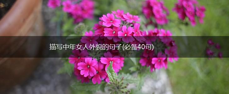描写中年女人外貌的句子(必备40句),第1张