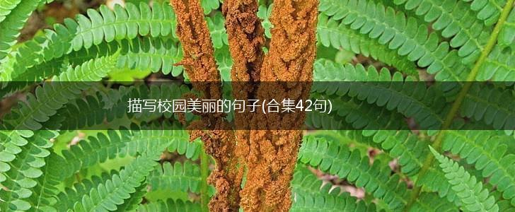 描写校园美丽的句子(合集42句),第1张 描写校园美丽的句子(合集42句),第1张