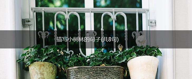 描写小树林的句子(共8句),第1张 描写小树林的句子(共8句),第1张