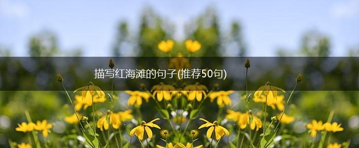 描写红海滩的句子(推荐50句),第1张