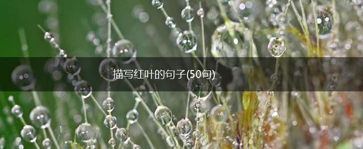 描写红叶的句子(50句),第1张