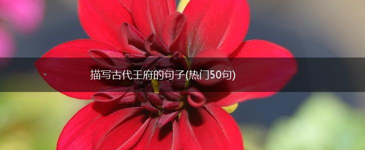 描写古代王府的句子(热门50句),第1张