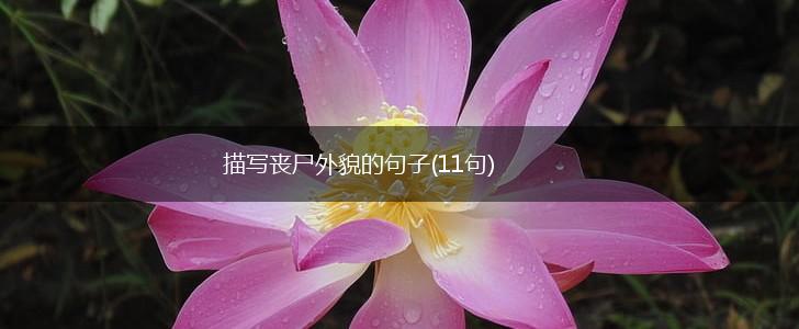 描写丧尸外貌的句子(11句),第1张