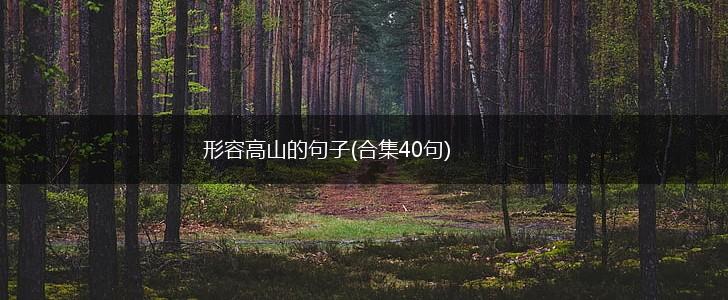 形容高山的句子(合集40句),第1张
