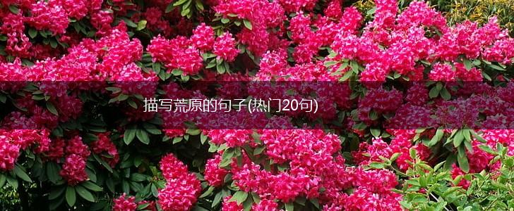 描写荒原的句子(热门20句),第1张 描写荒原的句子(热门20句),第1张