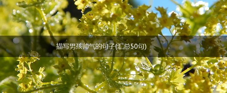 描写男孩帅气的句子(汇总50句),第1张