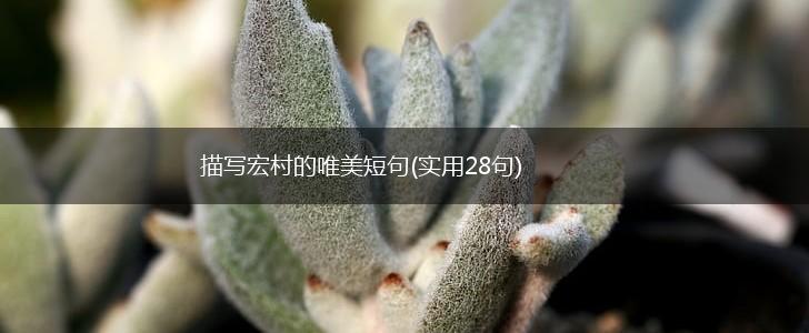描写宏村的唯美短句(实用28句),第1张
