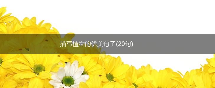 描写植物的优美句子(20句),第1张
