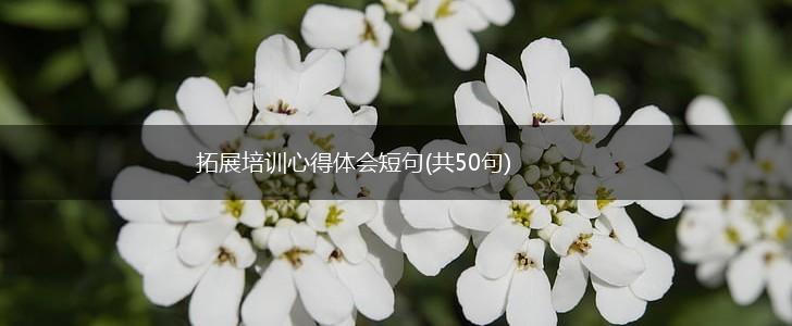 拓展培训心得体会短句(共50句),第1张