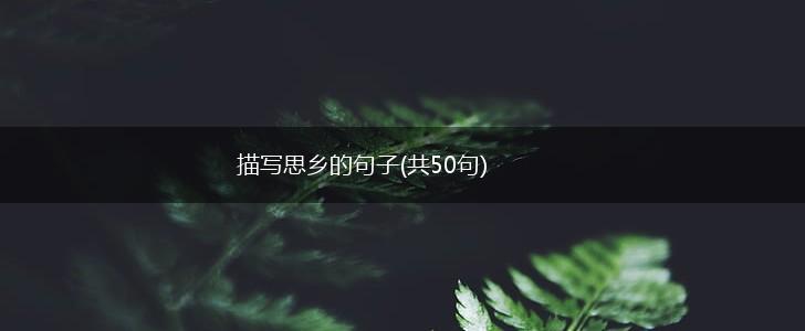 描写思乡的句子(共50句),第1张