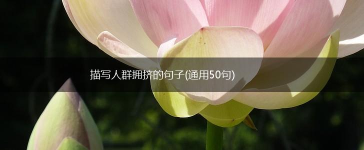 描写人群拥挤的句子(通用50句),第1张