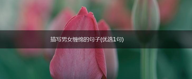 描写男女缠绵的句子(优选1句),第1张