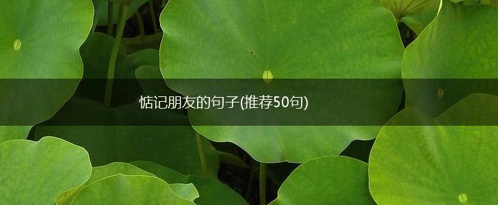 惦记朋友的句子(推荐50句),第1张