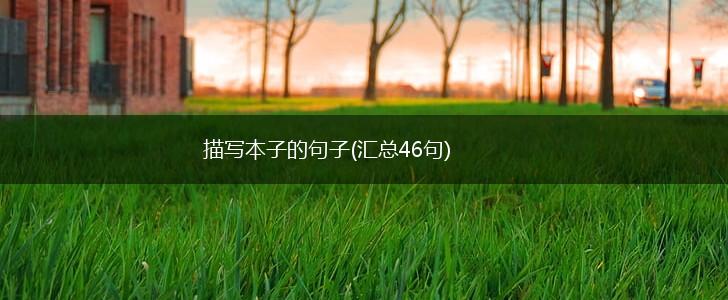 描写本子的句子(汇总46句),第1张