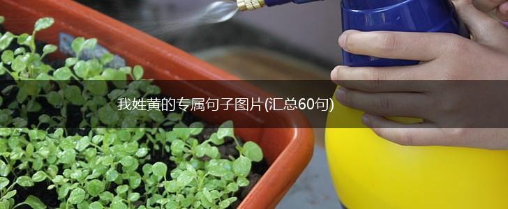 我姓黄的专属句子图片(汇总60句),第1张