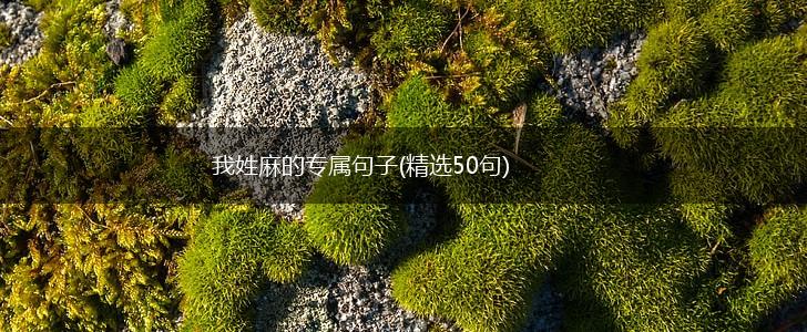 我姓麻的专属句子(精选50句),第1张