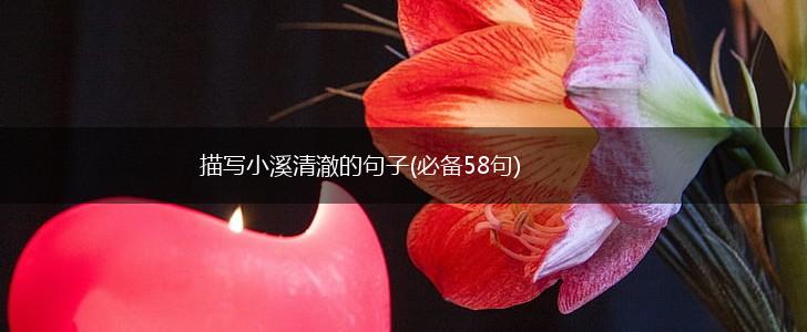 描写小溪清澈的句子(必备58句),第1张