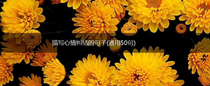 描写心情纠结的句子(通用50句),第1张 描写心情纠结的句子(通用50句),第1张